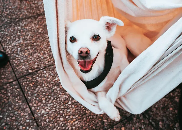 Vandrarhem Ostello Bello Bologna Bologna